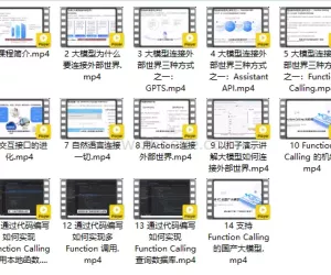 AI大模型实战：Function Calling技术详解完整版