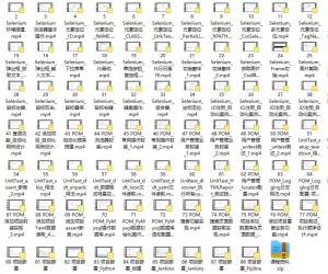DeepSeek(辅助编程)+Selenium4-自动化测试与CI/CD实战