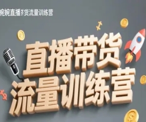 陈婉婉 直播带货流量训练营课程下载
