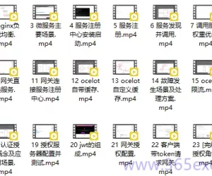 Net Core微服务实战教程：从零开始完整版