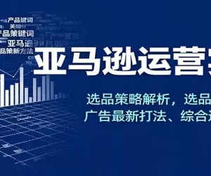 亚马逊运营实操，选品策略解析，选品重点方法、广告最新打法、综合运营技巧等