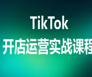 TikTok Shop-跨境电商全流程视频实操落地课