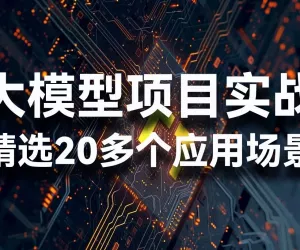 大模型项目实战：Python编程 & LangChain进阶（20多个应用场景）