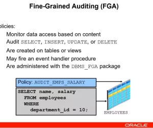 腾科新版Oracle 19c OCM认证实战视频
