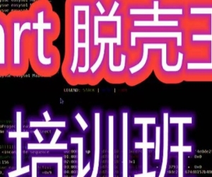 r0ysue Fart脱壳王 培训视频教程