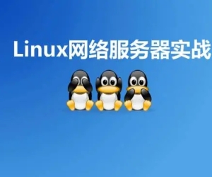 Linux网络服务器实战视频课程