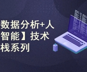 AI技术全栈系列课程(数据分析+机器学习+深度学习+大模型) 价值399元