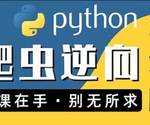 图灵何老师Python进阶首选：爬虫 JS WEB APP逆向+超强企业级案例合辑