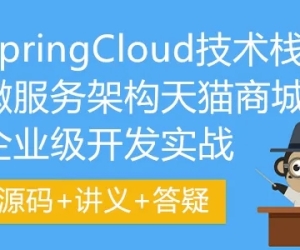 SpringCloud技术栈微服务架构天猫商城企业级开发实战(源码+讲义+答疑)