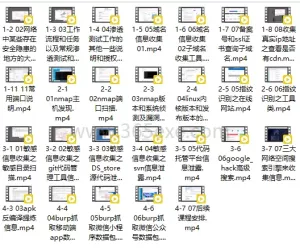 最新实战攻略：网络安全信息收集完整版教程