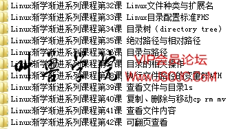 黑手VIP_Linux渐学渐进系列课程