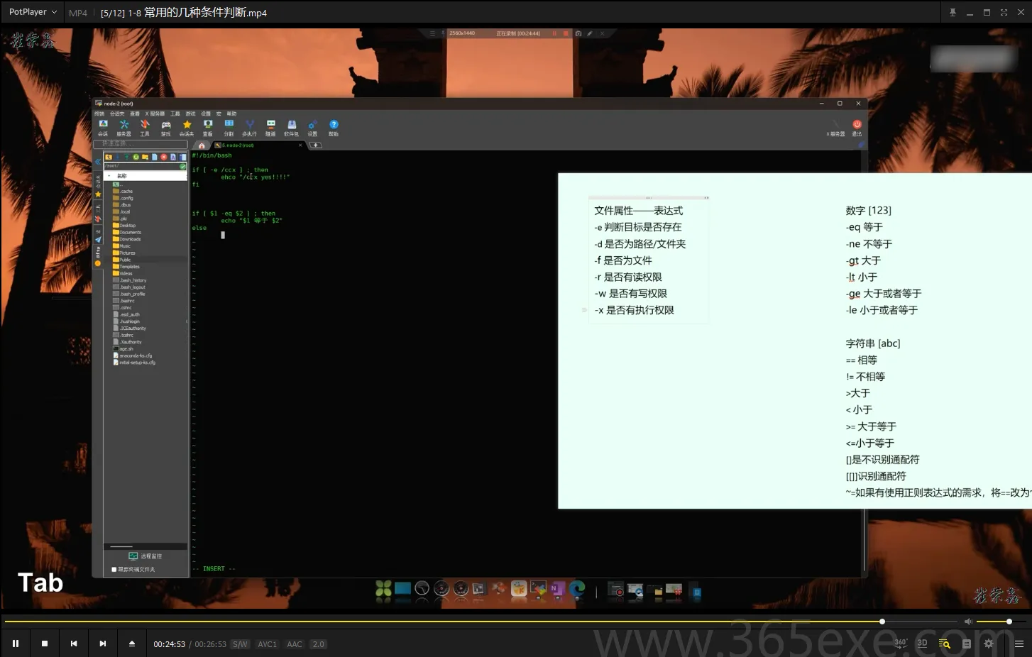 Shell脚本实战特训：从零到精通的完整版自动化运维路线指南最新教程 (图1)
