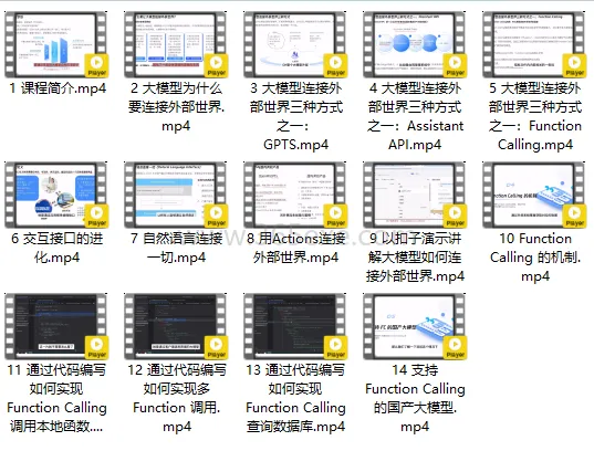 AI大模型实战：Function Calling技术详解完整版 (图1)