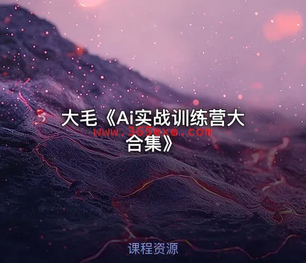 大毛《Ai实战训练营大合集》 (图1)