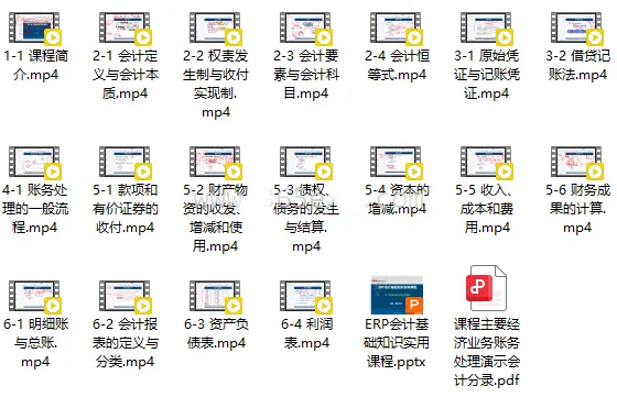 ERP会计基础知识实用课程 (图1)